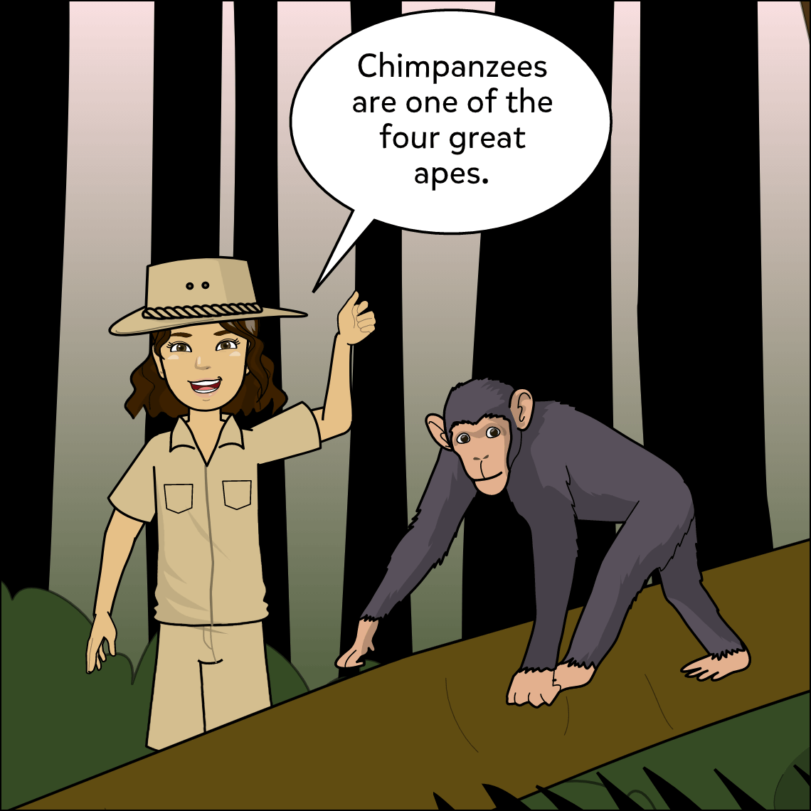 I Declare - Exemplar comic, panel 2